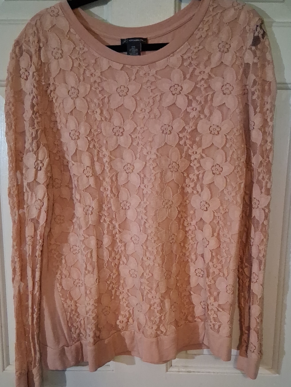Adrianna Papell Blush Pink Floral Lace Long Sleeve Sweatshirt